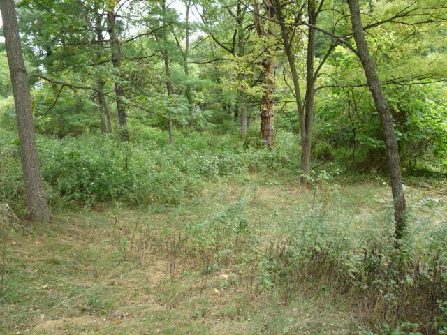More Photos Of 825 Minersville Llewellyn Hwy, Pottsville Land For Sale