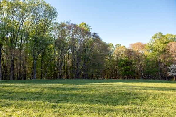 More Photos Of 115 Kidd Rd, Colfax Land For Sale