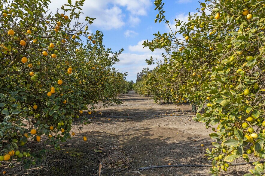 More Photos Of 0 Laguna Rd., Oxnard Land For Sale