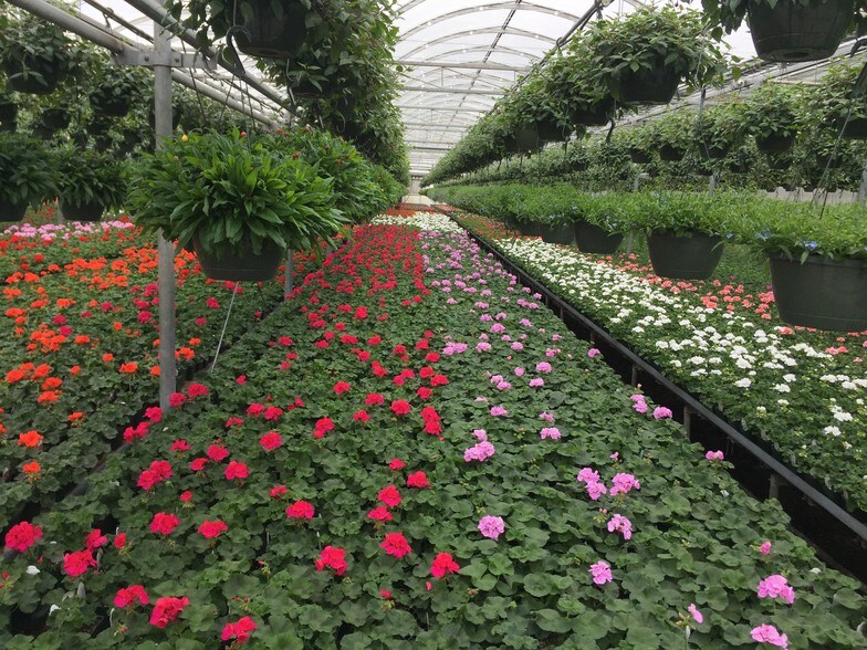 More Photos Of 609-621 E Maple Ave, Newark Light Manufacturing For Lease