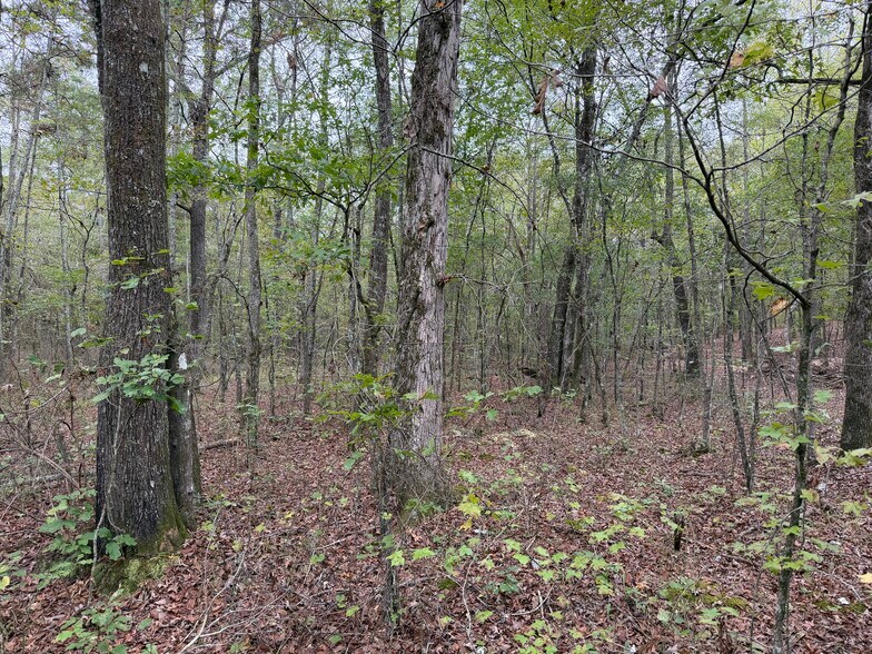 More Photos Of Colquitt Rd, Cedartown Land For Sale