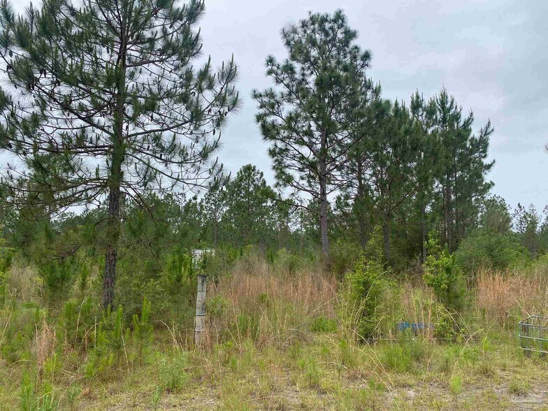 More Photos Of Walther Rd, Milton Land For Sale