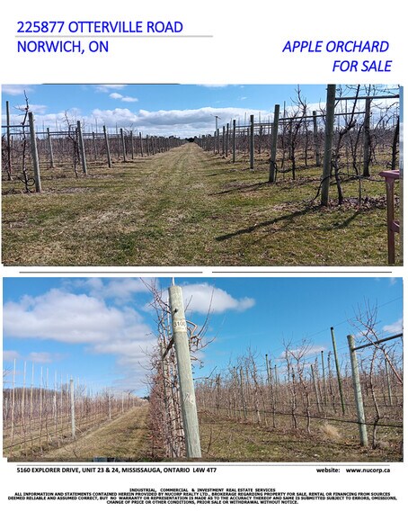 More Photos Of 225863 Otterville Road, Norwich Land For Sale