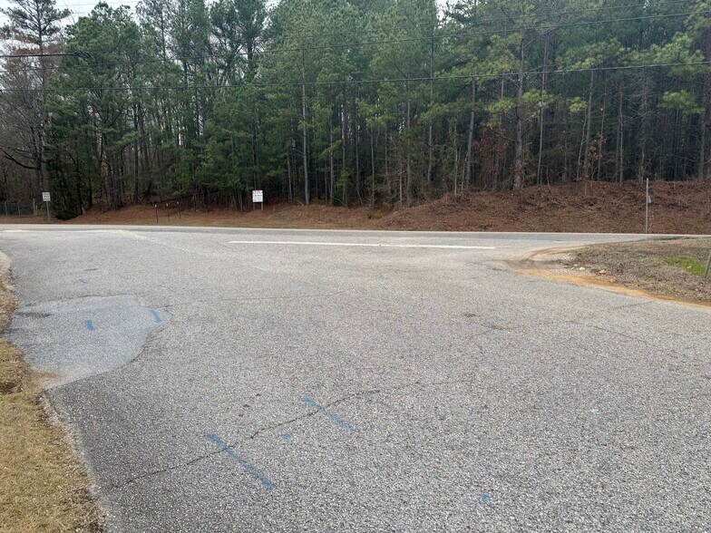 More Photos Of W Hwy 52, Pelham Land For Sale