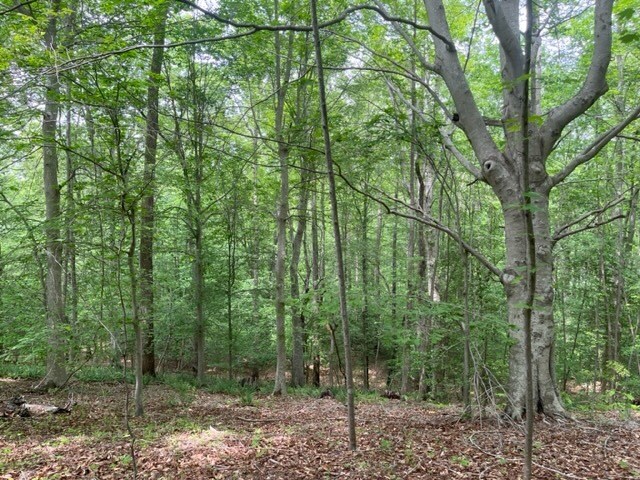 More Photos Of 7585 Mason Springs Rd, La Plata Land For Sale