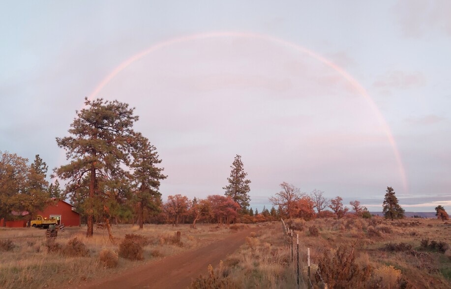 More Photos Of 94 Big Springs Rd, Goldendale Land For Sale