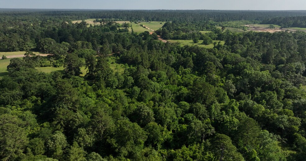 More Photos Of 2268 FM 1486, Montgomery Land For Sale