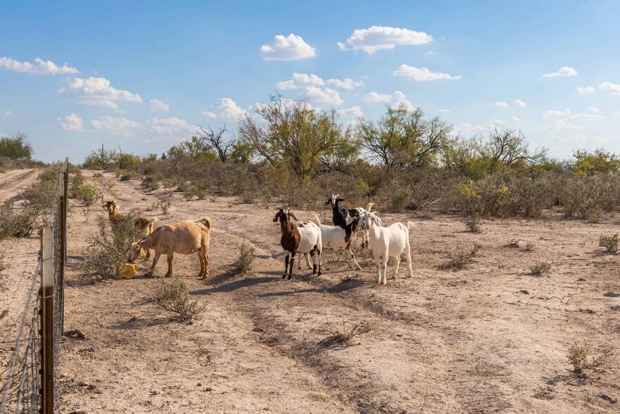 More Photos Of RD Ranch, Del Rio Land For Sale