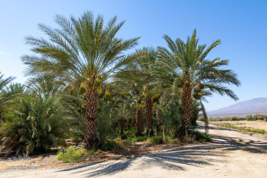 More Photos Of 75317 Polk St st, Thermal Land For Sale