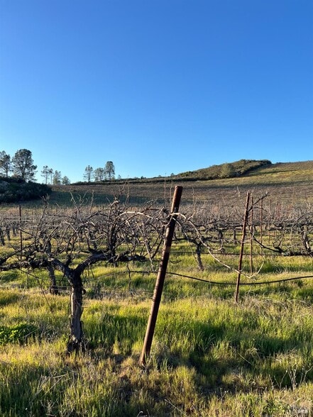 More Photos Of 7590 CA-29 Hwy, Kelseyville Land For Sale