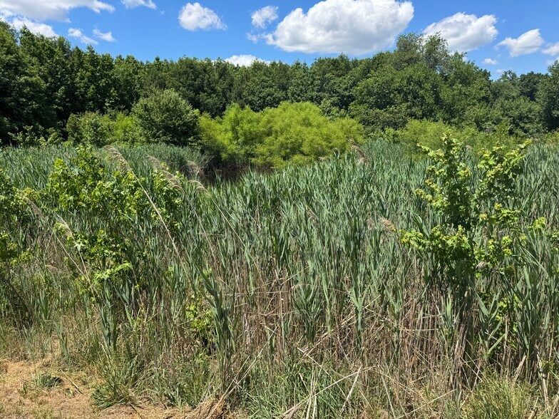 More Photos Of 953 White Marsh Branch Rd, Harrington Land For Sale