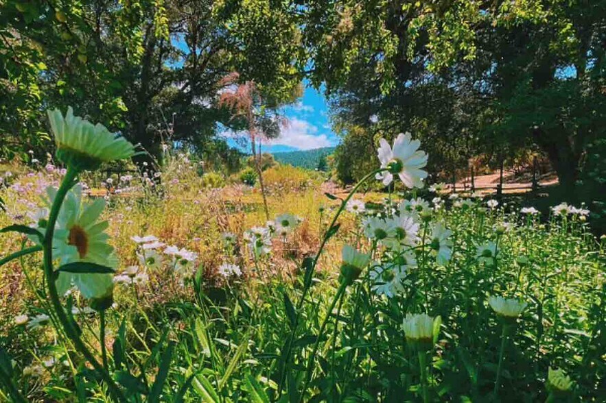 More Photos Of 18501 Van Zandt Resort Rd, Philo Lodge Meeting Hall For Sale