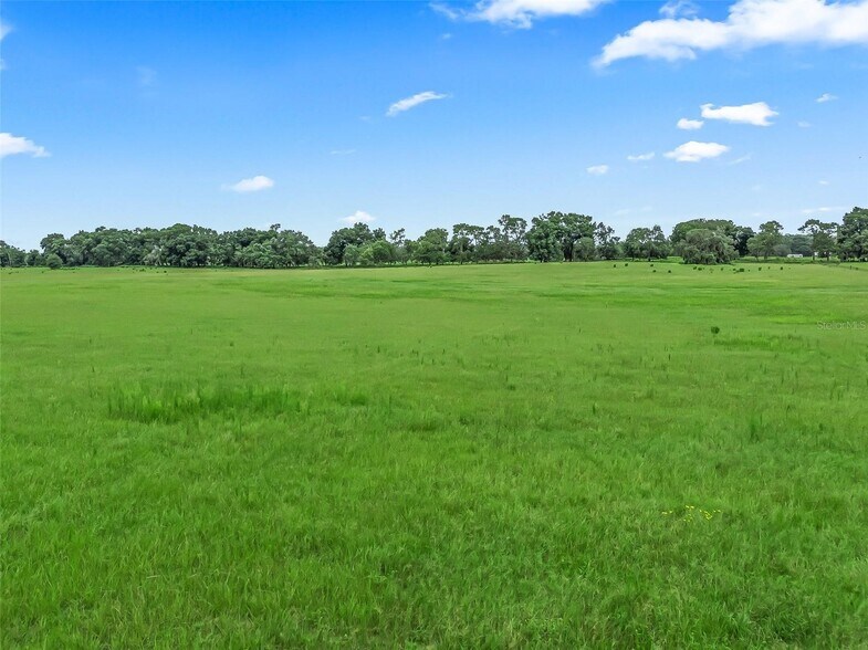 More Photos Of CR 635, Bushnell Land For Sale