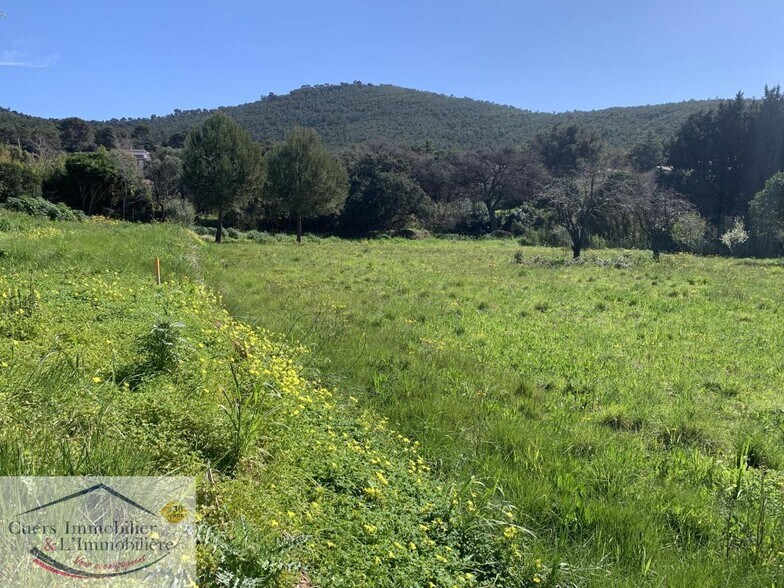 More Photos Of ,  Land For Sale