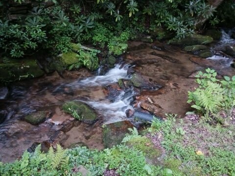 More Photos Of 4259 Pickens Hwy, Rosman Hospitality For Lease