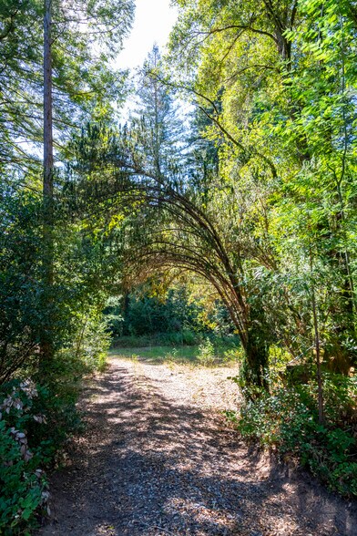 More Photos Of 2372 McKenzie Creek rd, Scotts Valley Land For Sale