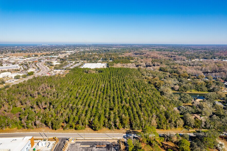Primary Photo Of 8224 Little Rd, New Port Richey Land For Sale