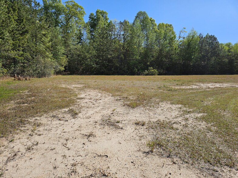 More Photos Of 4110 Commerce St, Flowery Branch Land For Sale