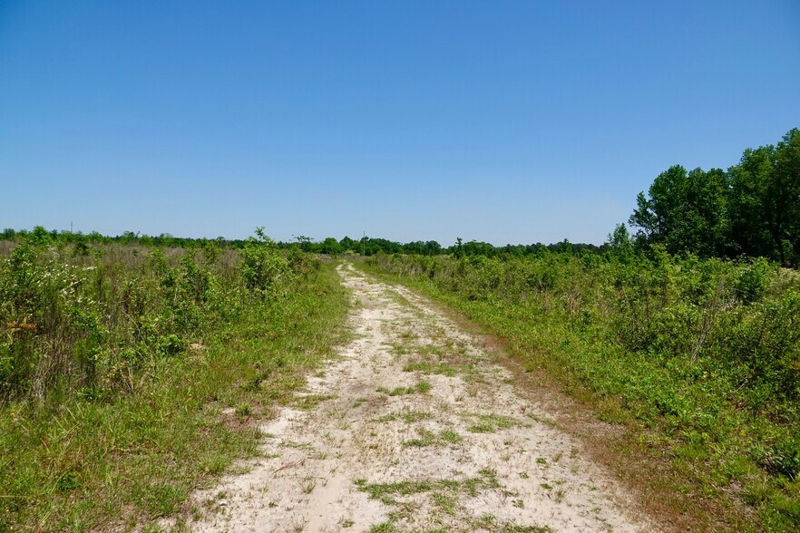 More Photos Of Merritt Rd @ W Reeves Street, Malvern Land For Sale