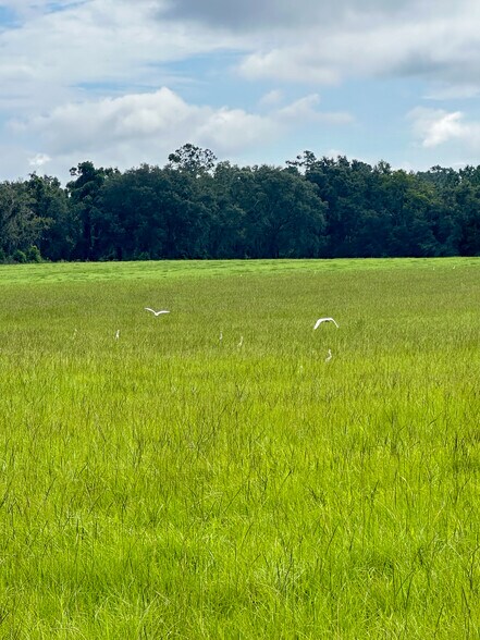 More Photos Of 14720 40th St, Live Oak Land For Sale