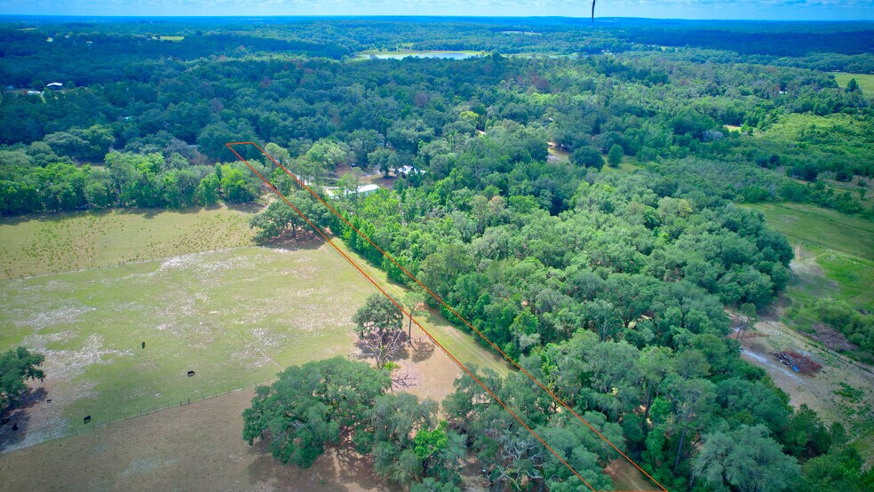 More Photos Of 3267 Neff Lake Rd, Brooksville Land For Sale