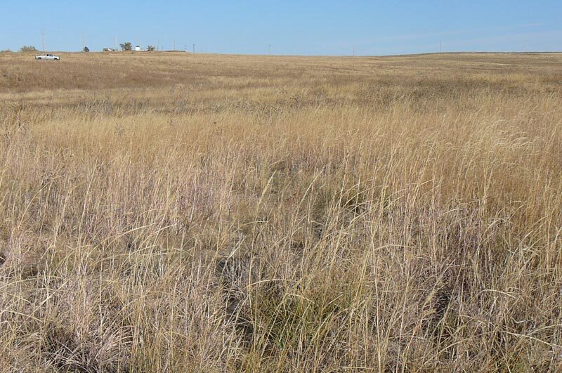 More Photos Of 1970 Imboden rd, Watkins Land For Sale