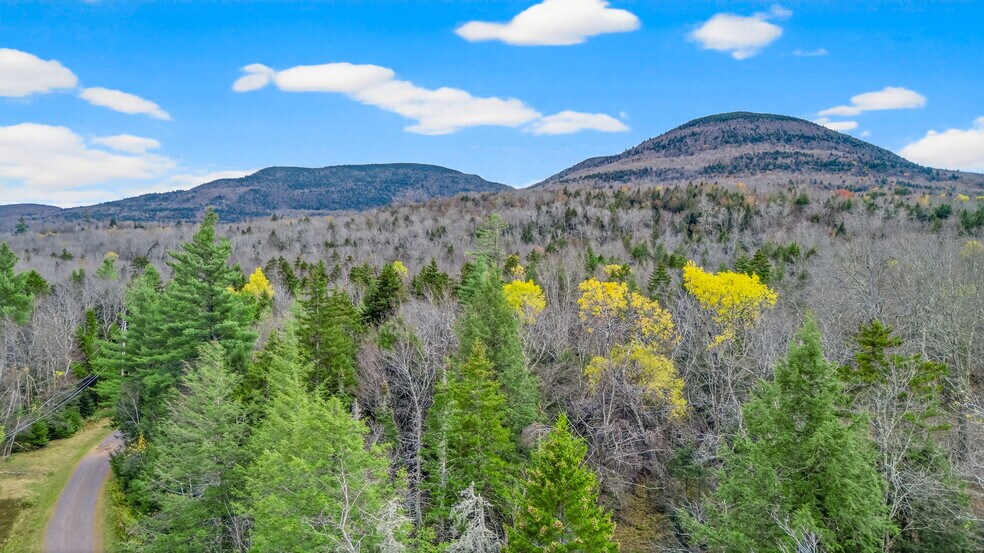 More Photos Of 11 Corfu Road, Elka Park Land For Sale