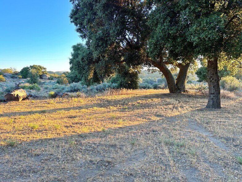 More Photos Of 29820 Old Mitchell Camp Road, Warner Springs Land For Sale