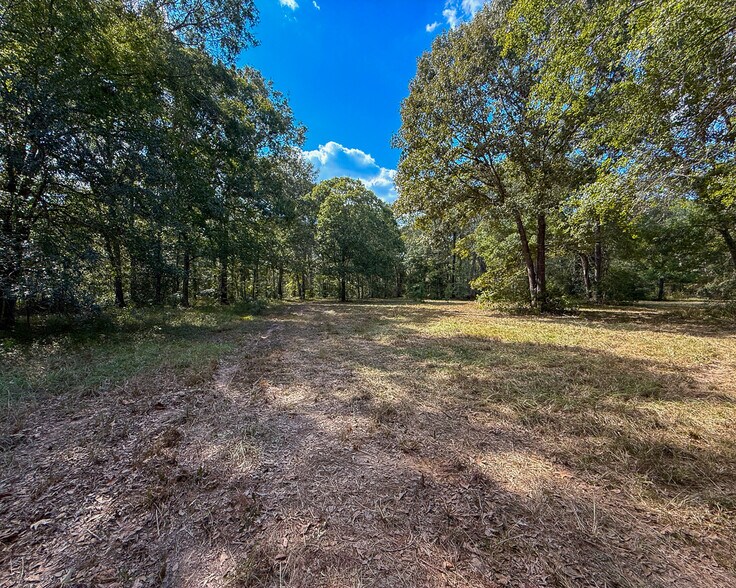 More Photos Of 1 Mount Zion Road, New Waverly Land For Sale