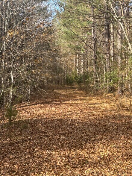 More Photos Of Oak Tree Dr, Honea Path Land For Sale