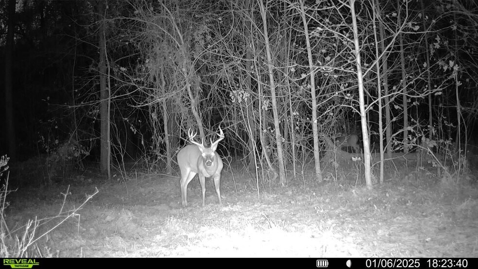 More Photos Of 4433 Pat Thomas Pky, Quincy Land For Sale