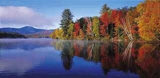 More Photos Of 870 County Route 60, Newton Falls Land For Sale