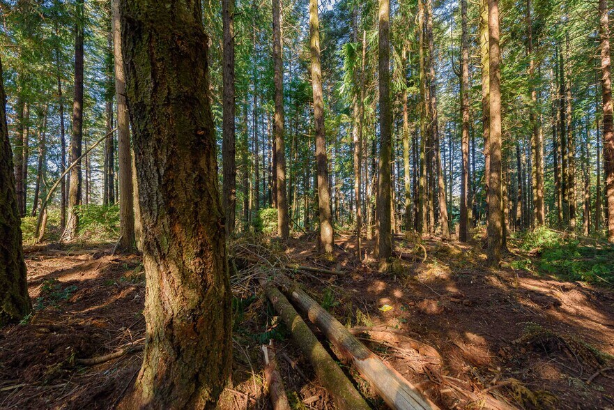 More Photos Of 0 Newmark ave, North Bend Land For Sale