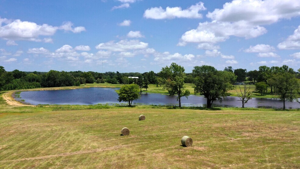 More Photos Of 13530 FM 773, Ben Wheeler Land For Sale
