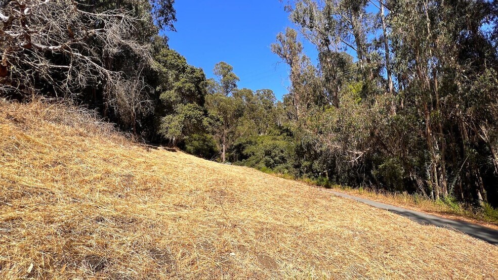 More Photos Of 00 Lupine Lane, Santa Cruz Land For Sale