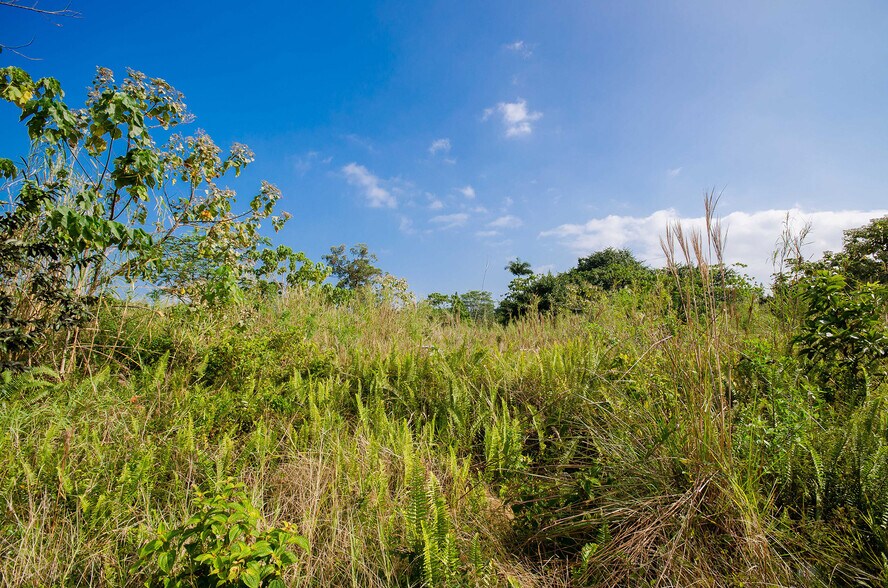 More Photos Of 15-2815 Pahoa Village, Pahoa Land For Sale