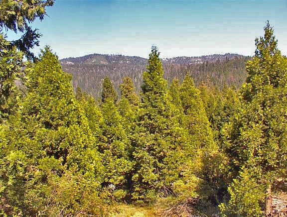 More Photos Of Highway 180 Hwy 180, Miramonte Land For Sale