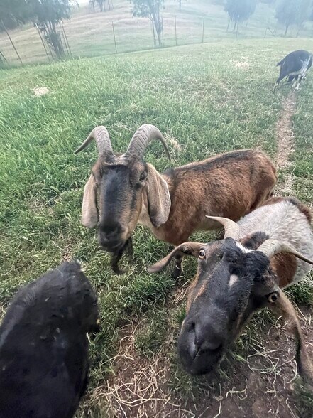 More Photos Of 7539 Pleasants Valley Rd, Vacaville Specialty For Sale