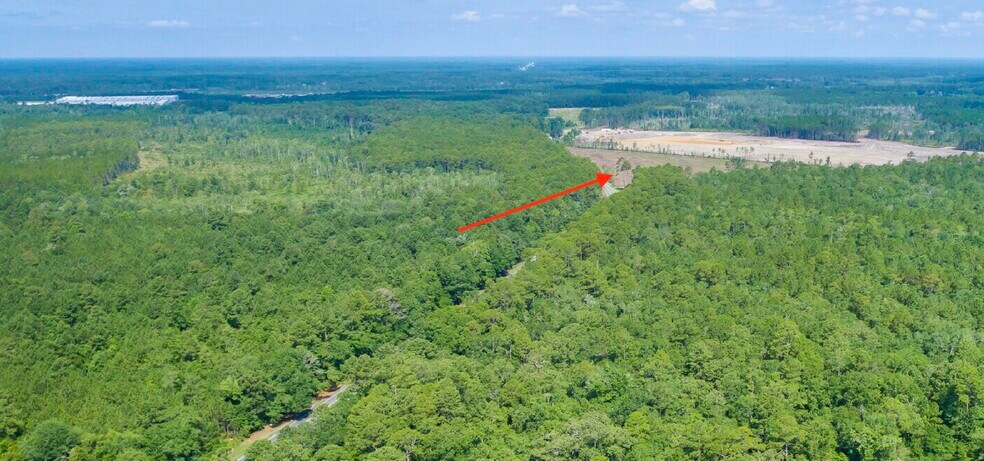 More Photos Of 0000 US 80, Ellabell Land For Sale