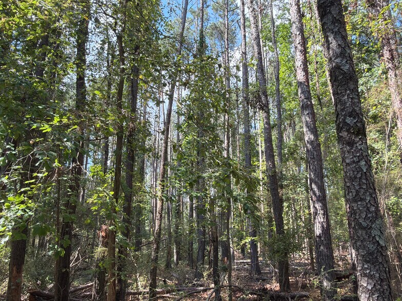 More Photos Of 107 Popham rd, Taylorsville Land For Sale