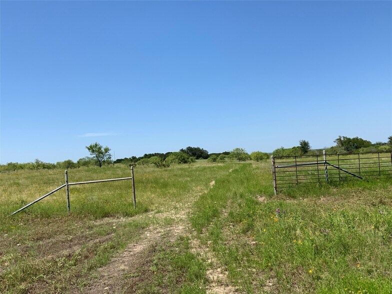 Primary Photo Of 4801 Farm to Market Road 1702, Gustine Land For Sale