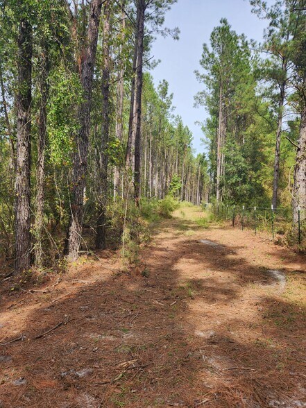 More Photos Of 6939 SW 1 Federal Rd, Lamont Land For Sale