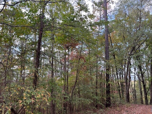 More Photos Of 100 Valley View Farm Rd SW, Cartersville Land For Sale