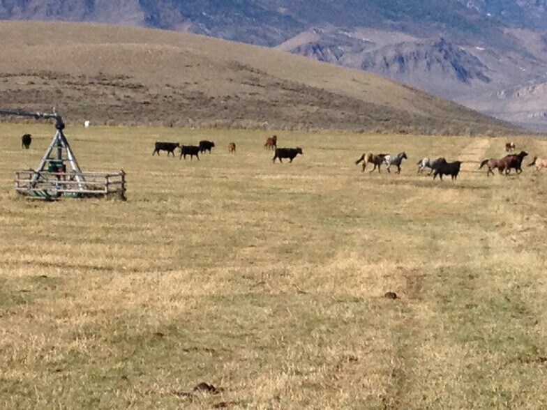 More Photos Of 3750 Pahsimeroi Rd, May Land For Sale