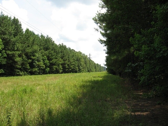 More Photos Of 189 Acres In Jones County Ms, Ellisville Land For Sale
