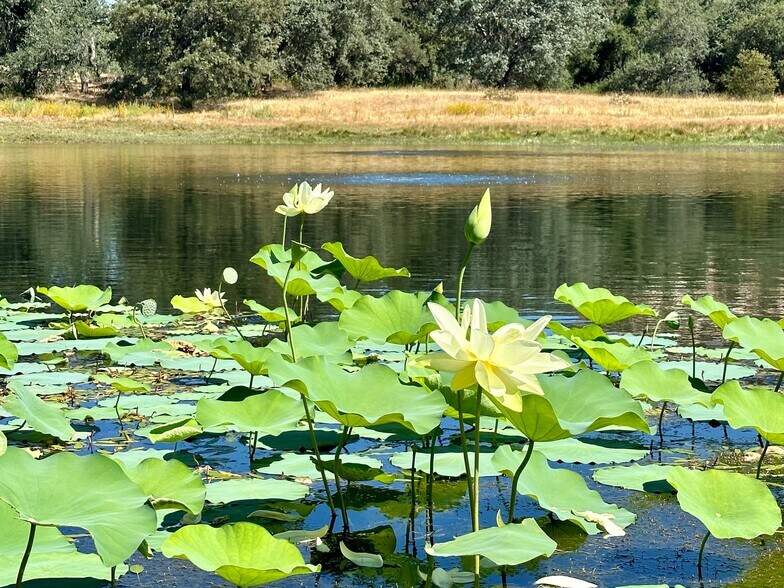 More Photos Of 25258 Mesa Grande Rd, Santa Ysabel Land For Sale