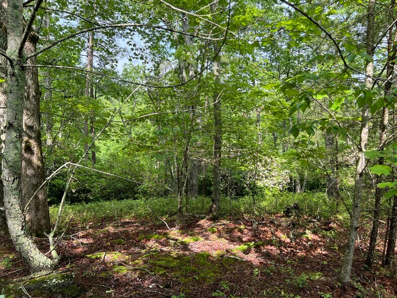 More Photos Of 395 Able rd, Waleska Land For Sale