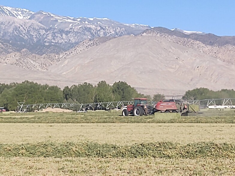 More Photos Of Fish Lake Valley, Dyer Land For Sale