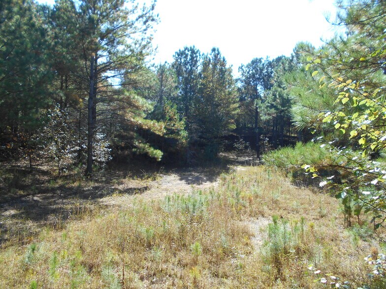 More Photos Of 1230 Good Hope Rd, Monroe Land For Sale