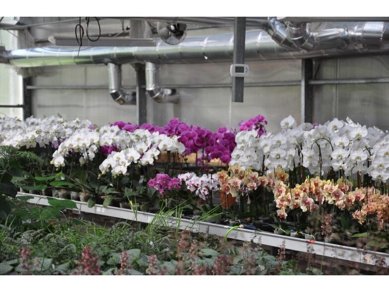 More Photos Of 1274 Dryden Rd, Ithaca Garden Center For Sale